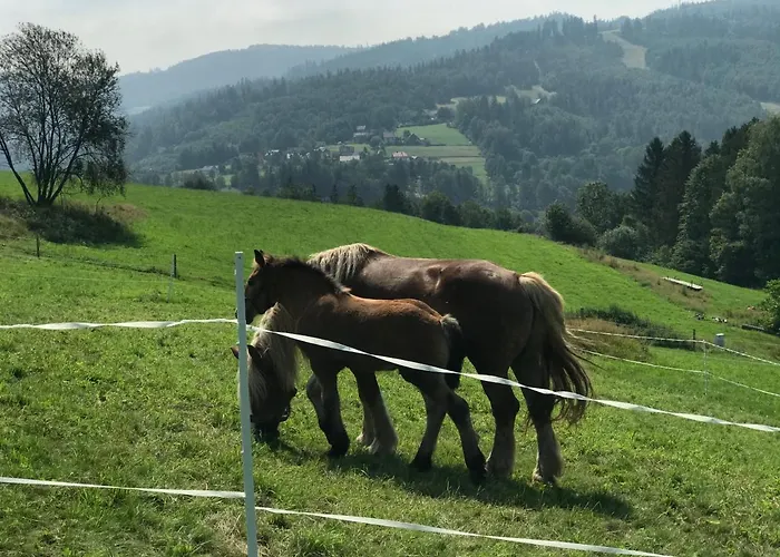 בית נופש Pod Gorka *