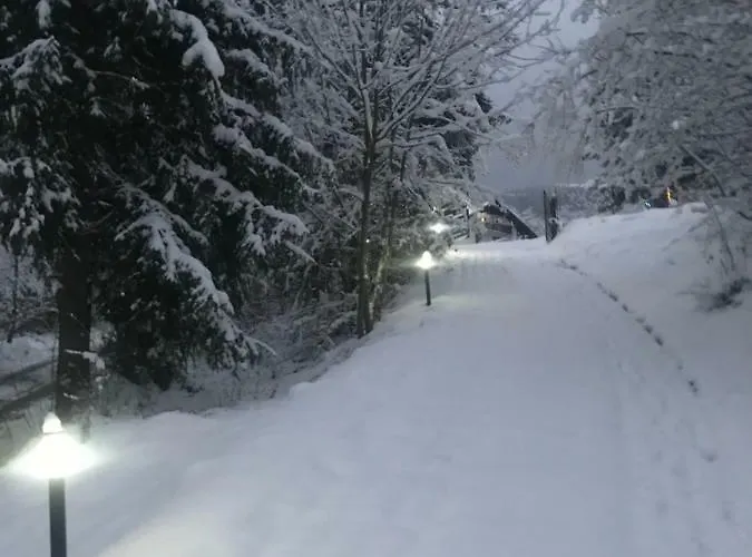 Pod Gorka ויסלאו